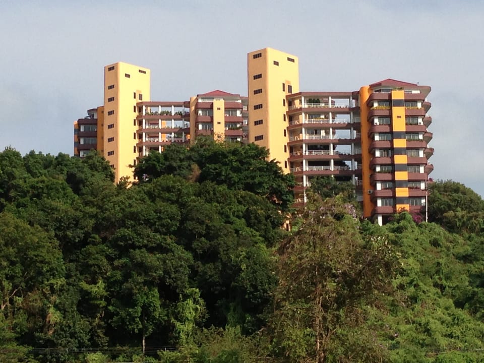 A distant view