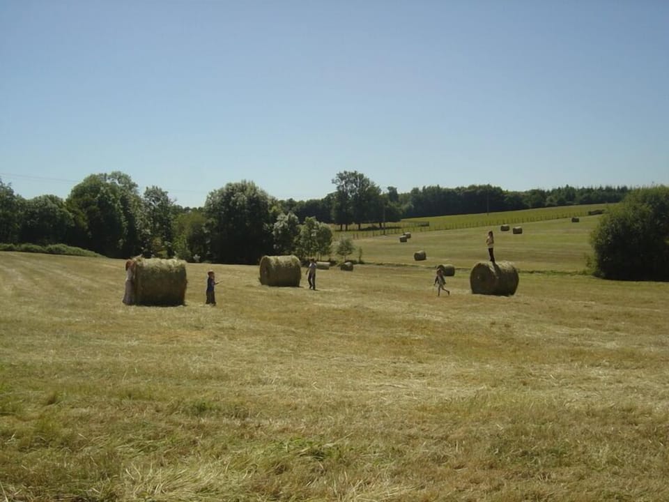 Fields to explore