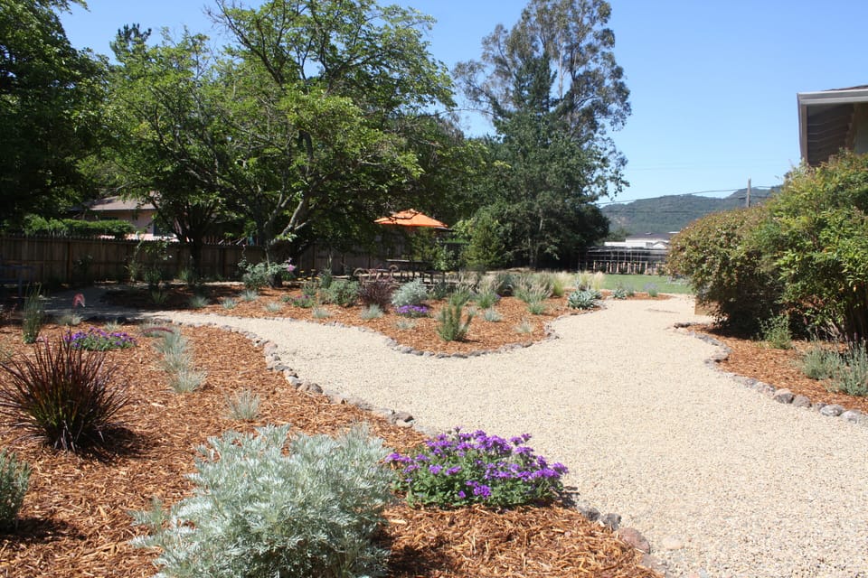 Back Yard with Walking Path Leading to Firepit