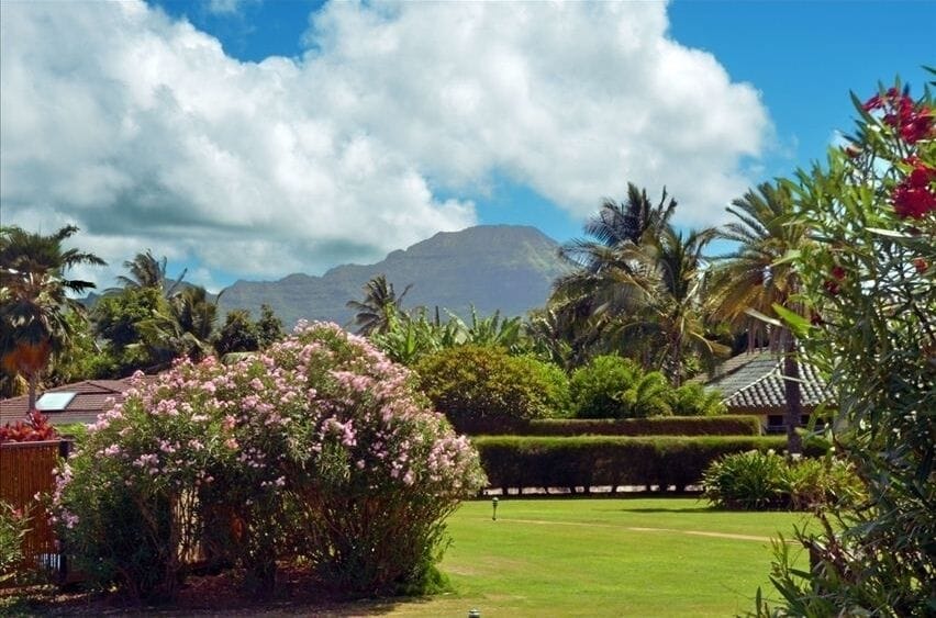 View from back patio.