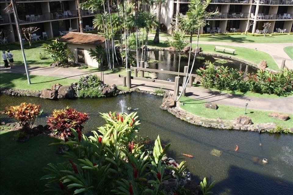 The Koi pond right beneath the lanai