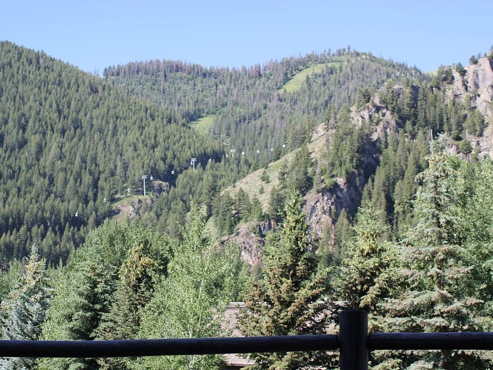 View from deck