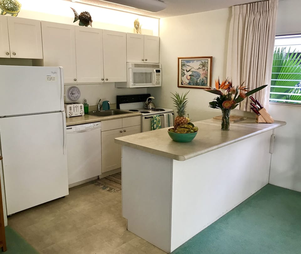 Fully equipped kitchen with coffee maker, blender, dishwasher, disposal.
