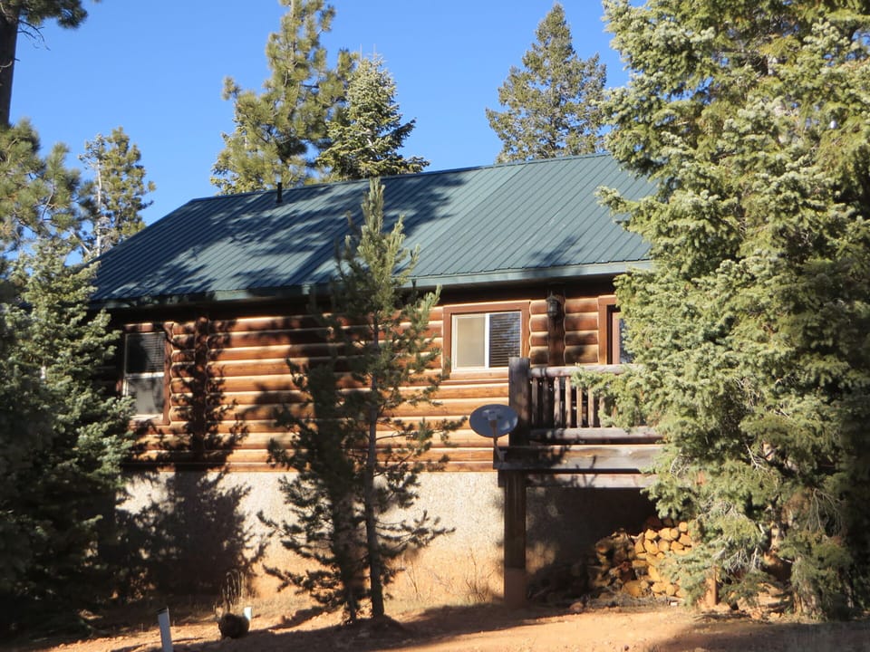 Back of property with deck and firewood.