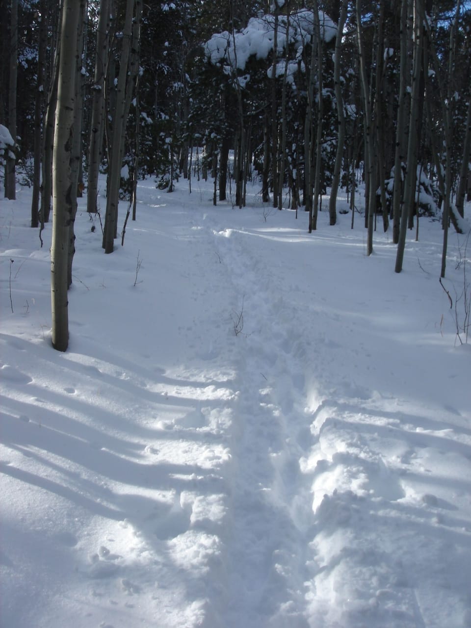 Cross-Country Skiing from the front door
