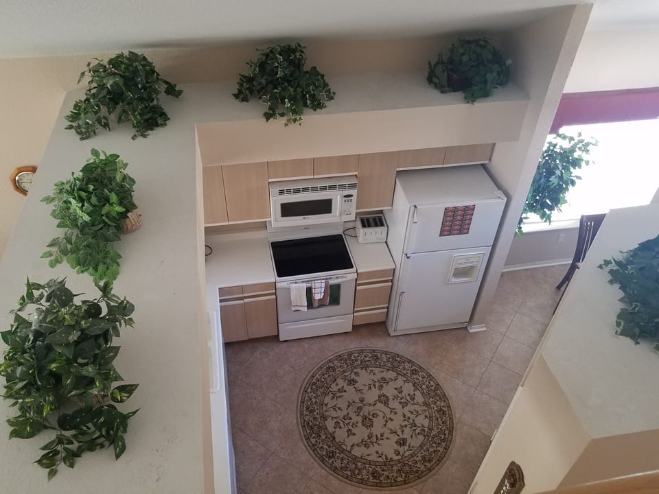 Area view of kitchen