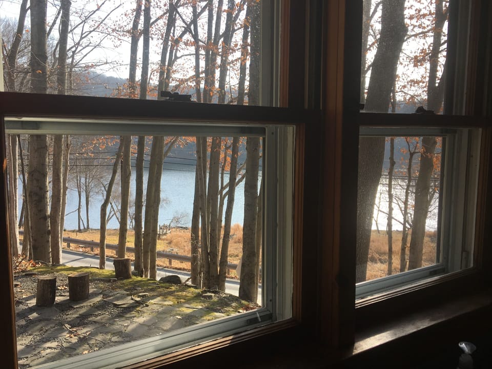 View from Living Room side windows