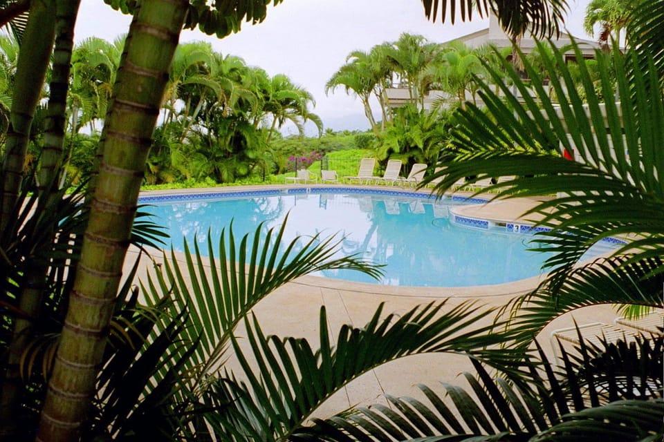 Ekolu Village pool.
