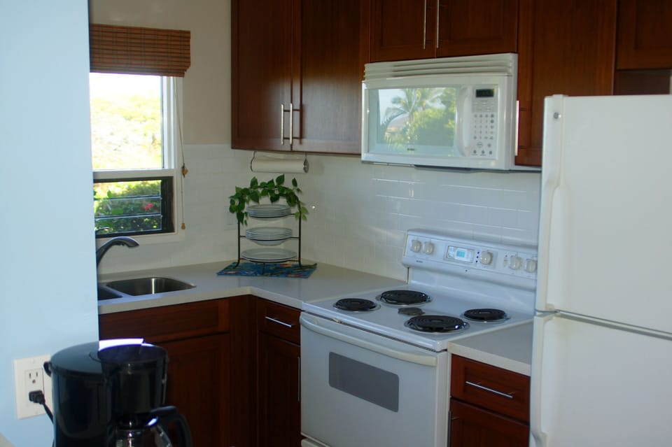 Recently (2014) remodeled kitchen.