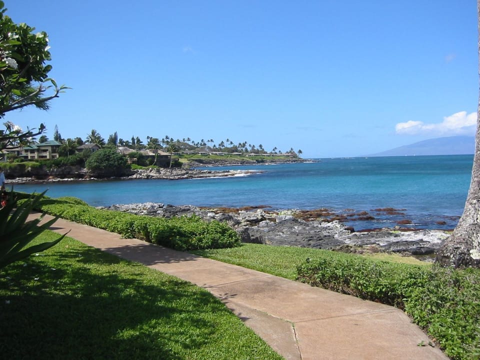 View from the point 