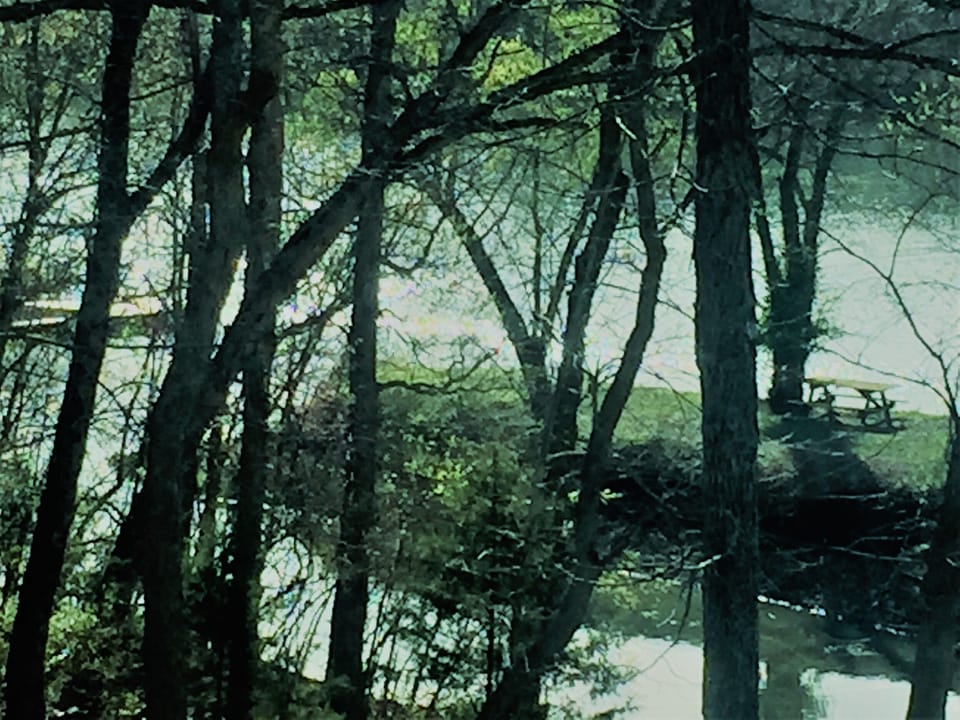 Lake and Cove
