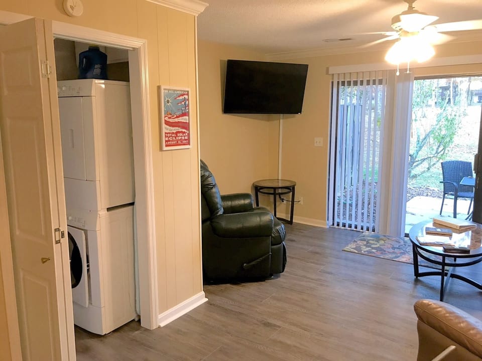 LR with large TV, closet under stairs has W/D