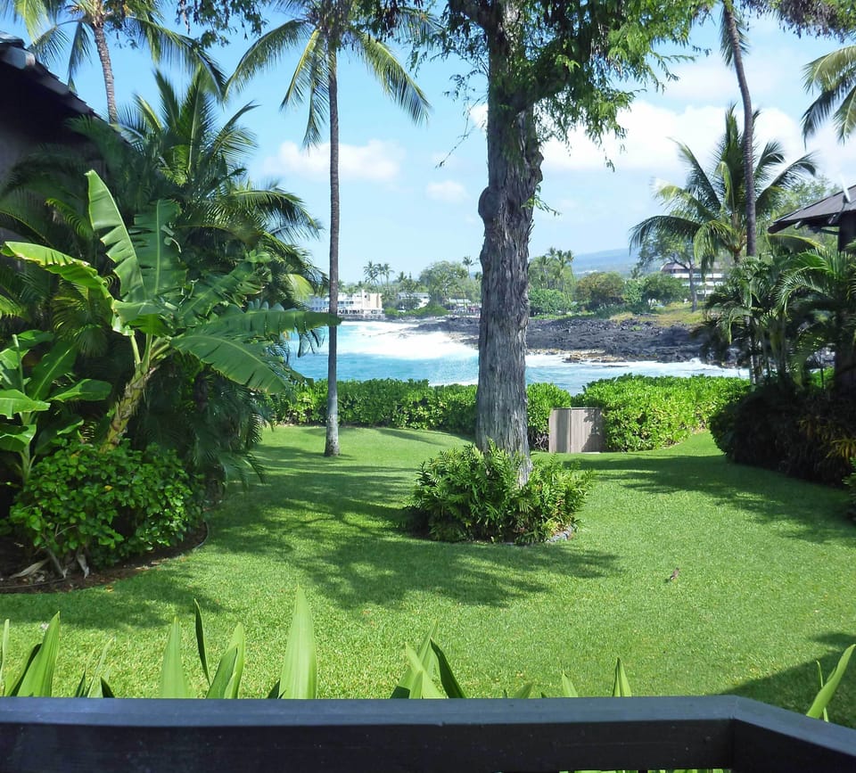 Ocean View from the Lower Lanai and the ocean gate to private cove
