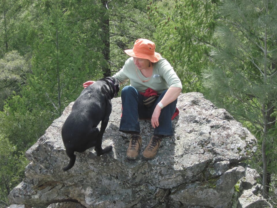 Taking a break on a hike down the Pickering Bar trail to the American River.