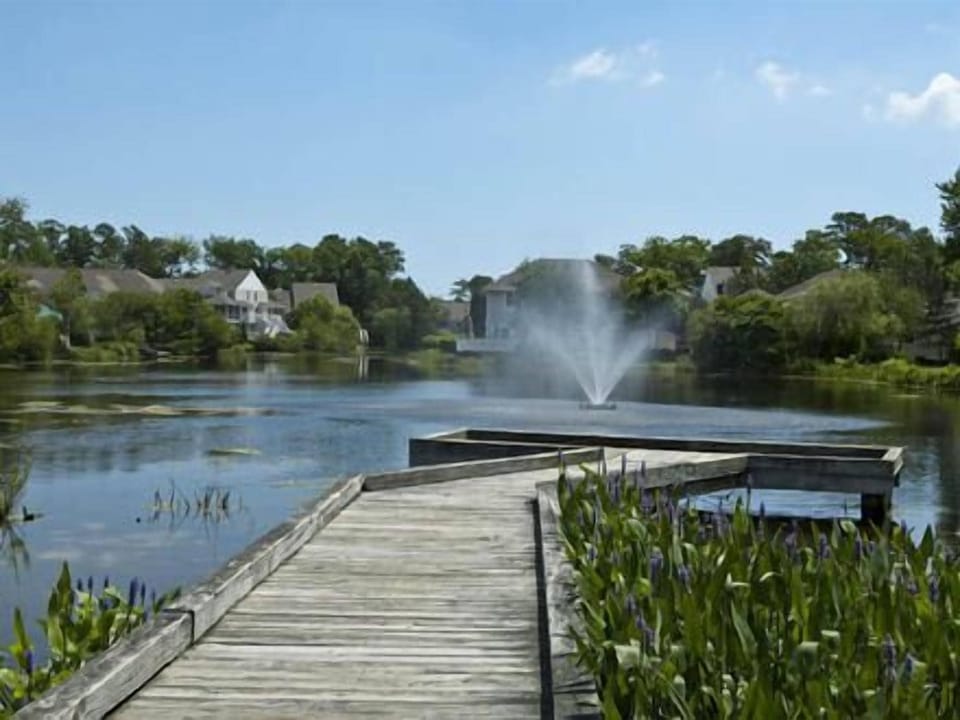 Plenty of quiet spots so bring your fishing pole (catch and release only)