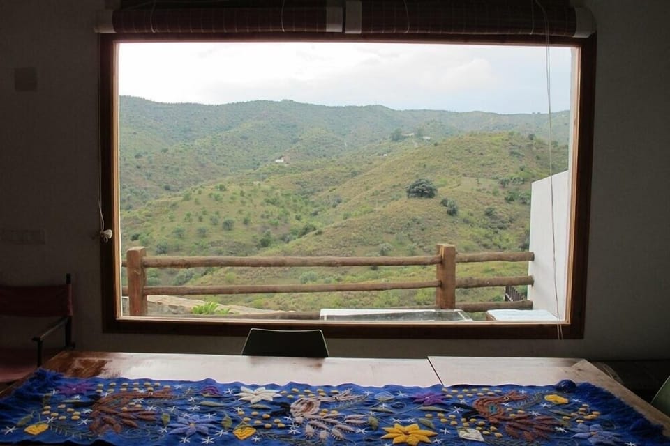 View from dining table