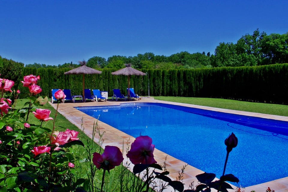 Extra large fenced and landscaped pool private to Finca Retama Farmstead