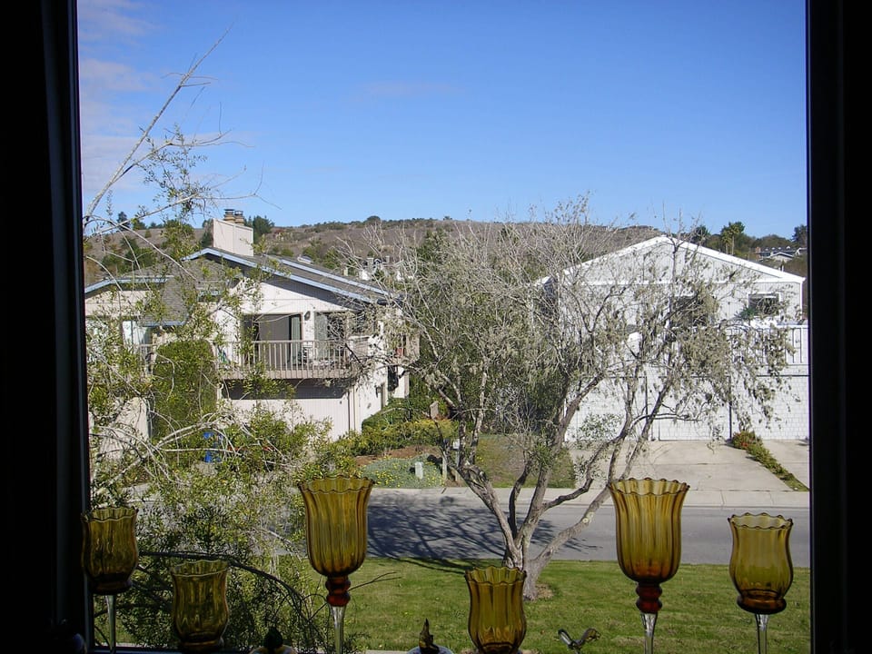 kitchen window view