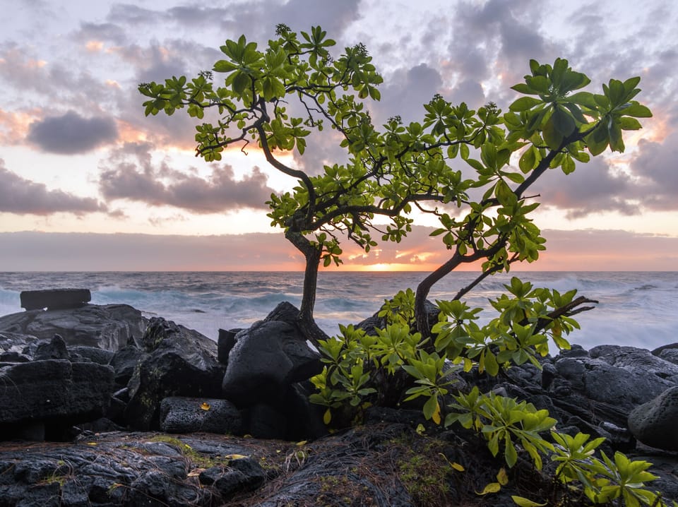 Sunrise Puna Coast, five minutes from Hale Puma
