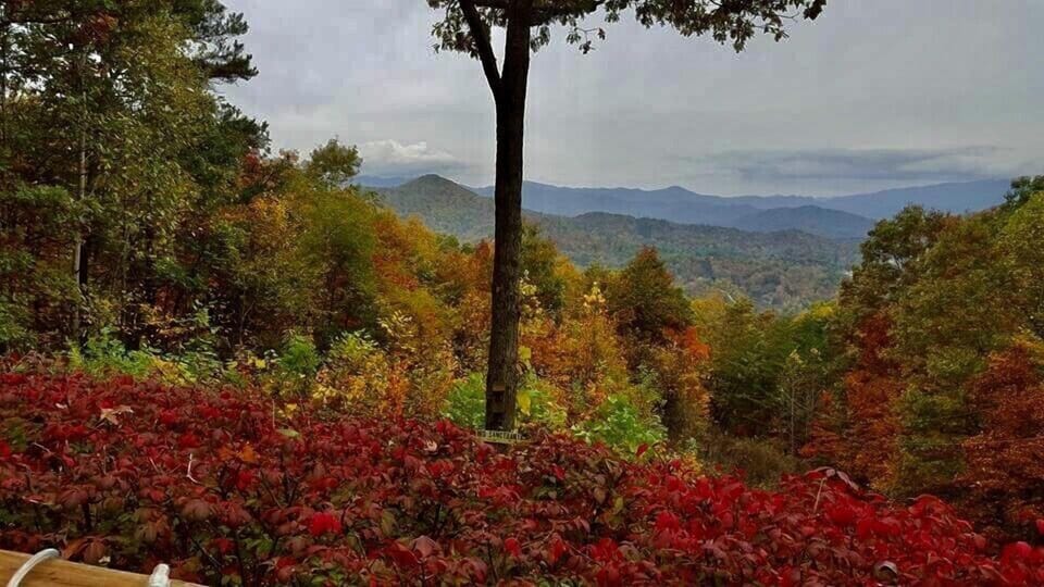 Fall color is dazzling!