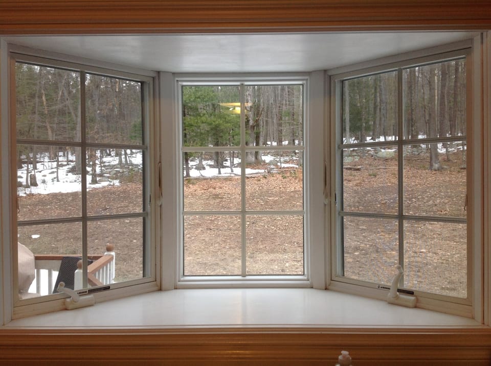 The back yard is wooded and undeveloped for a refreshing time washing dishes.