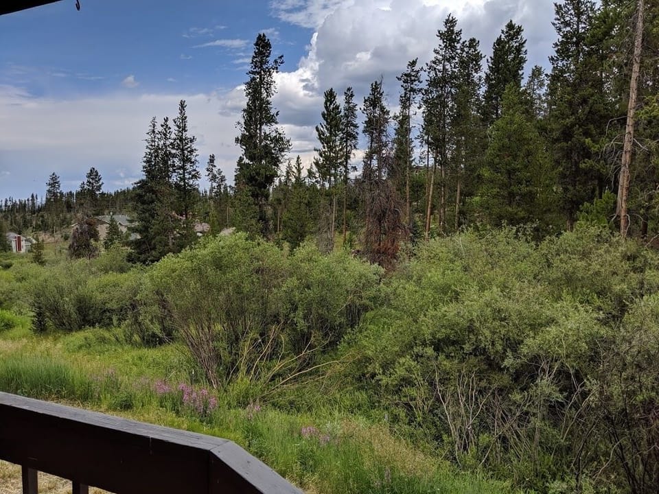 1st floor deck view