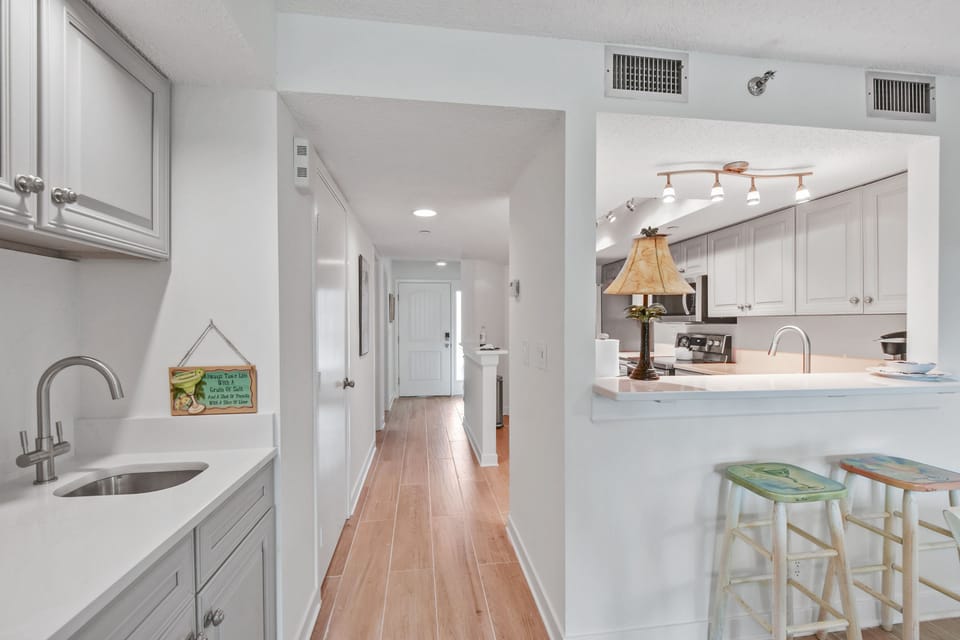Entry Way/Bar Area/Kitchen Area