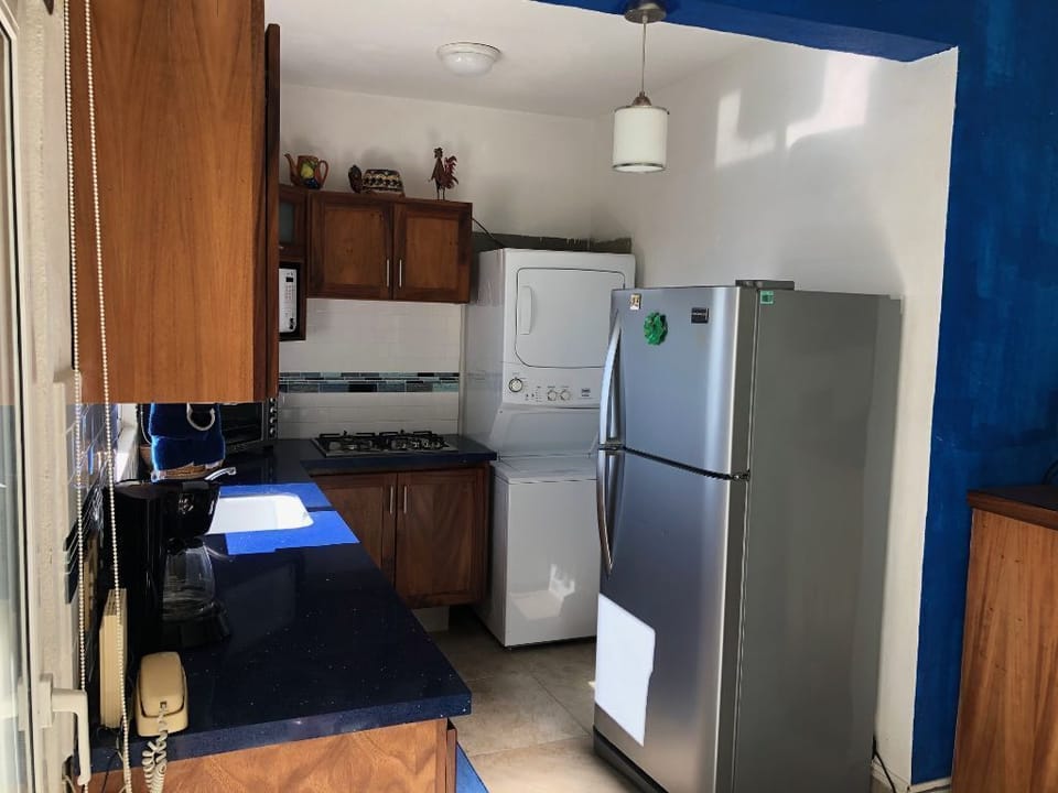 New counter! New sink! New parota wood cabinets!  New washer dryer not pictured.
