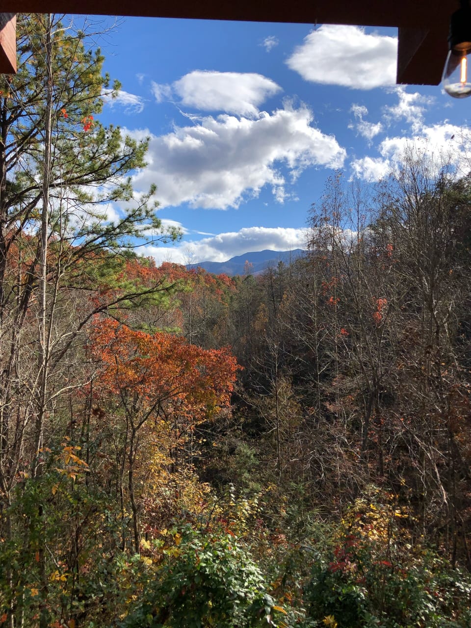 View from the back porch by the hot tub.
