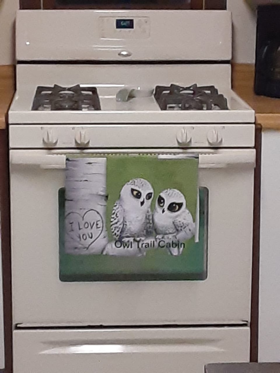owl trail cabin