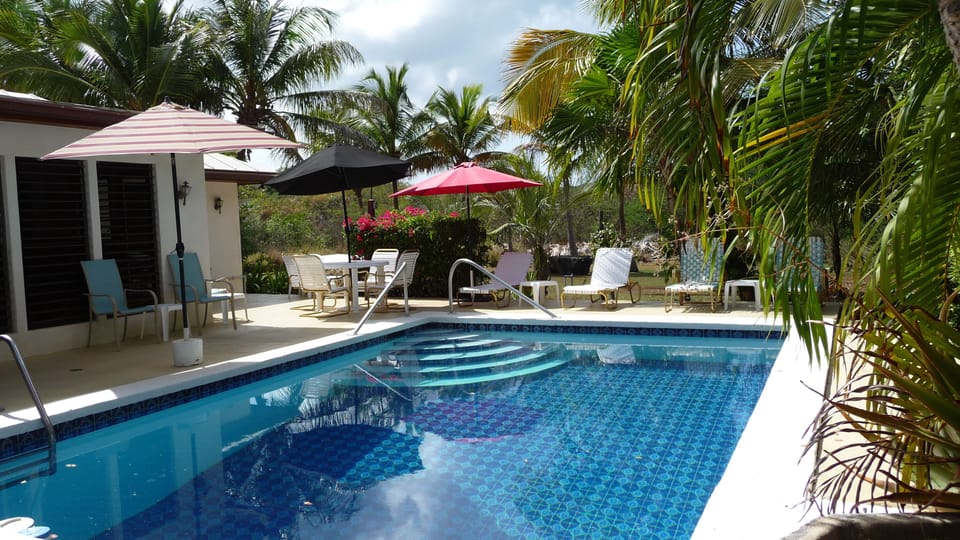 Our pool
