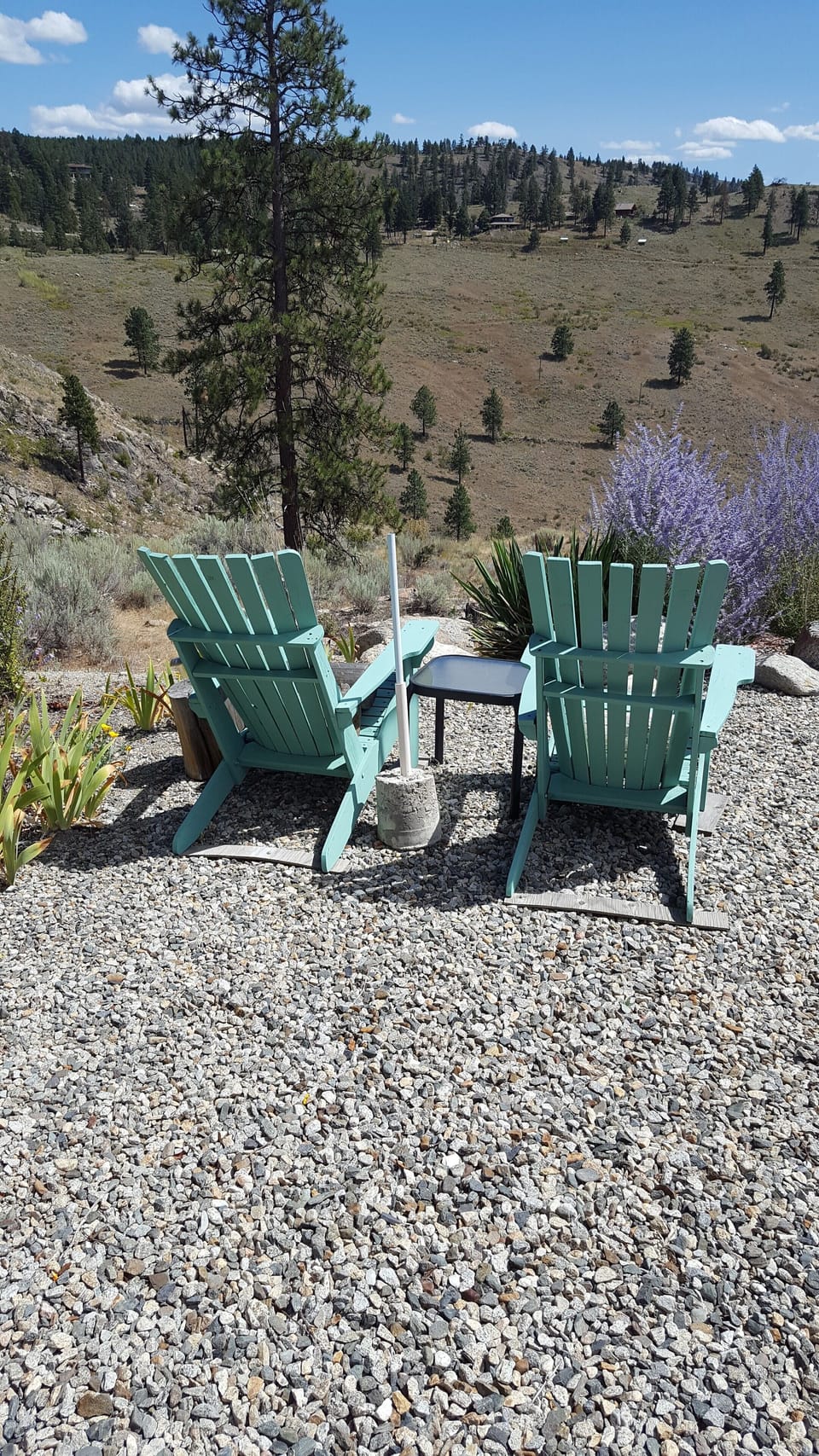 One of several resting locations around the property