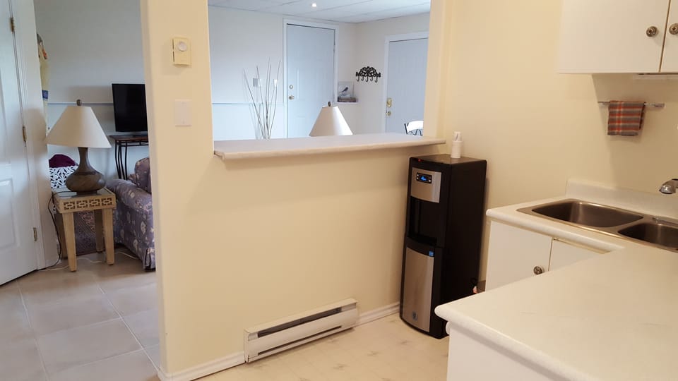 Looking at living area and private entrance door from kitchen.
