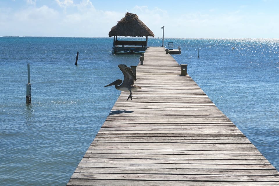 Any tour operator will pick you up & drop you off at our pier