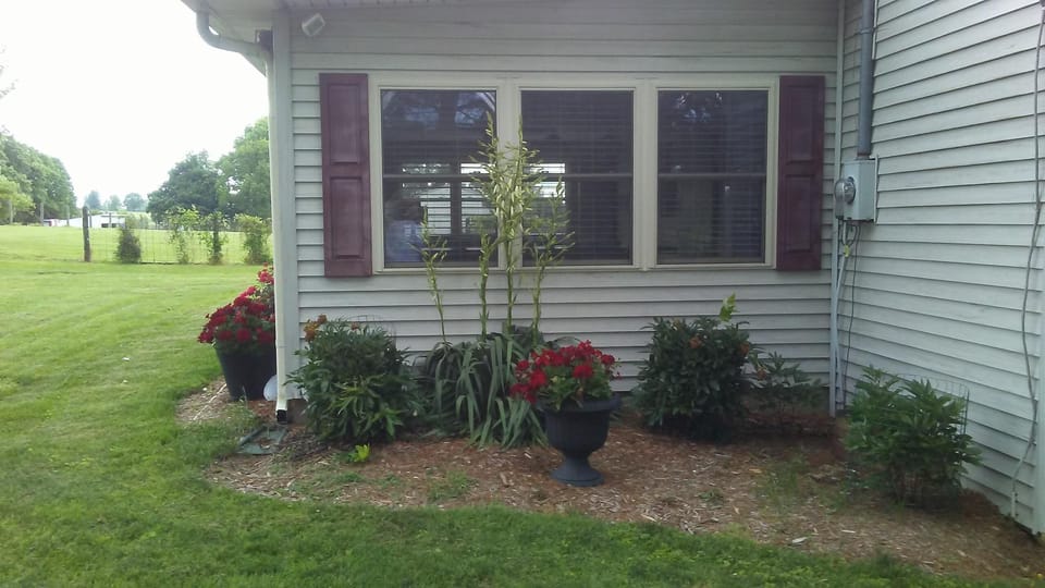 sunroom & side yard
