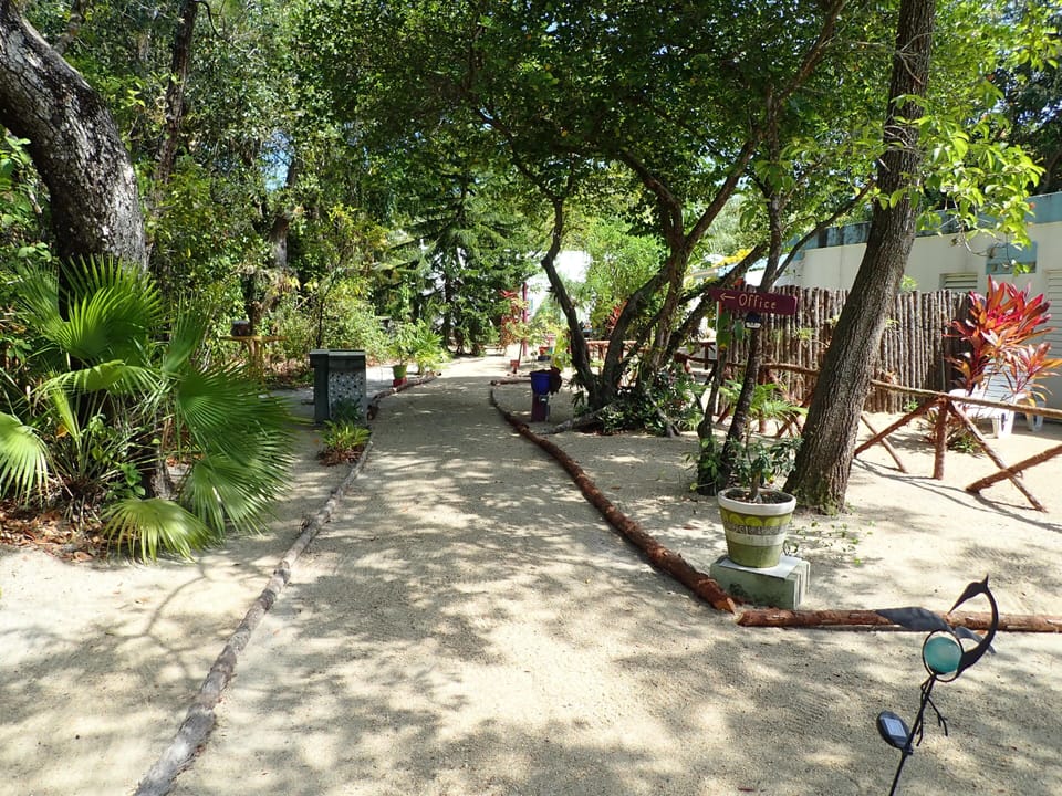 The tropical garden and jungle to your left