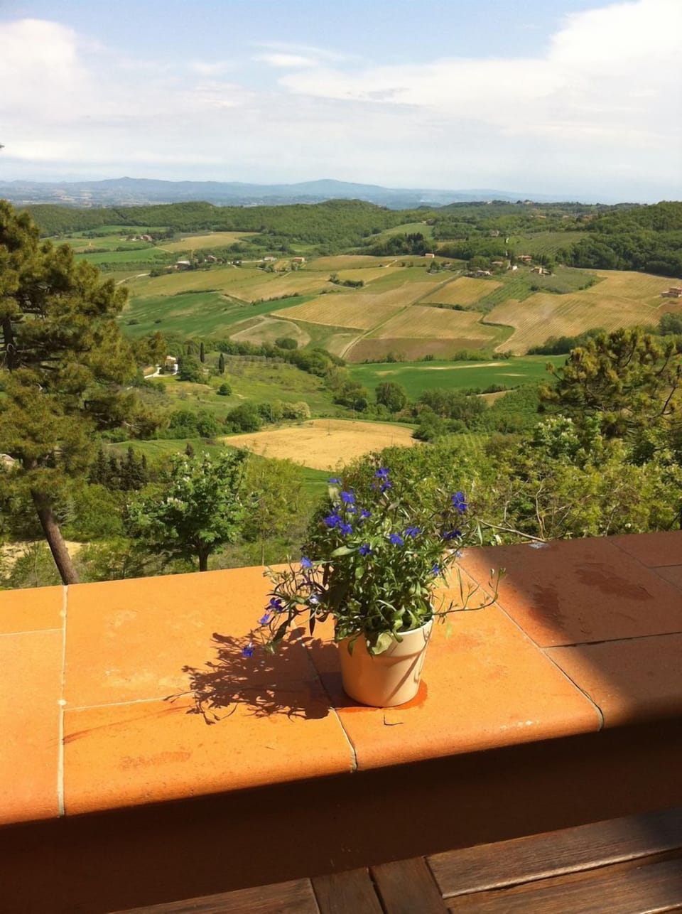 Thank you for visiting the Casina. We hope to have you soon as our guest :)