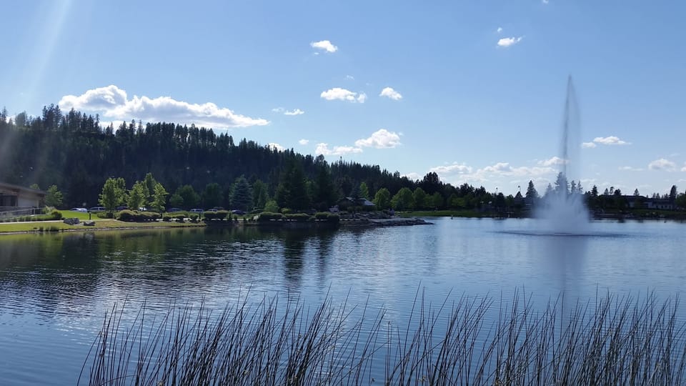 Enjoy nature and walks 