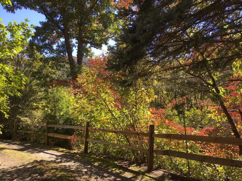 Private and Serene Wooded Location.