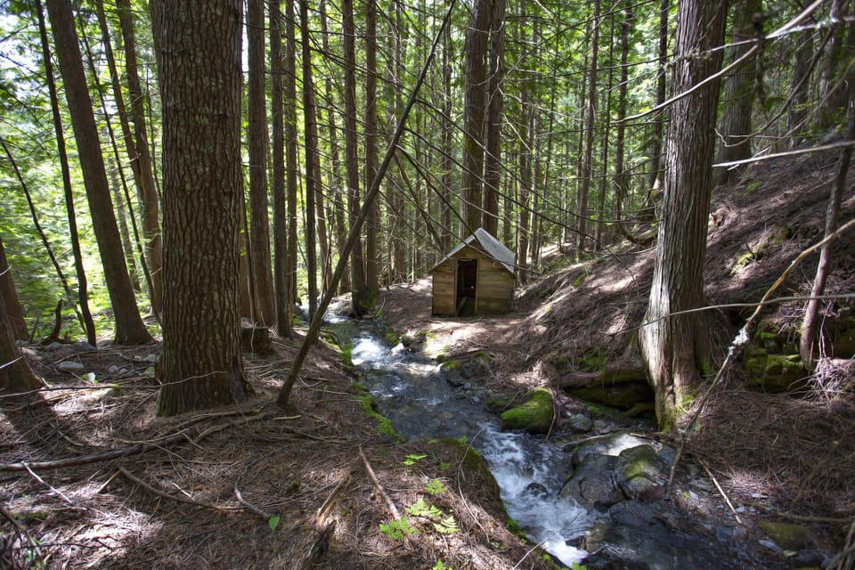Rambling creek and waterfall just a short trail walk from the chalet