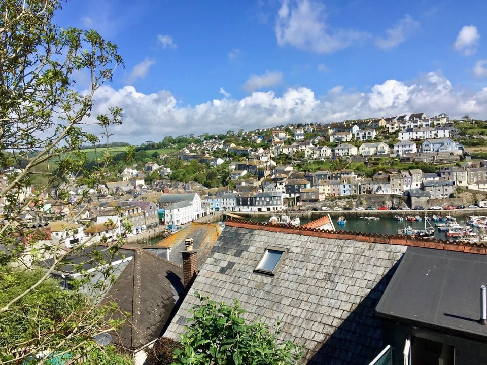 View from the top of the garden