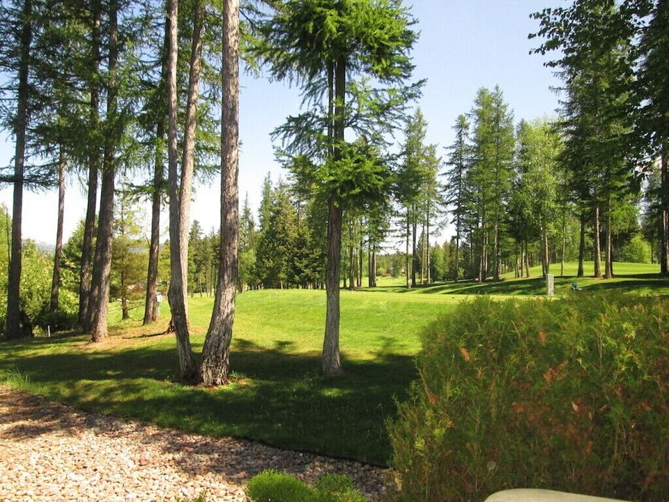 View from the back deck.