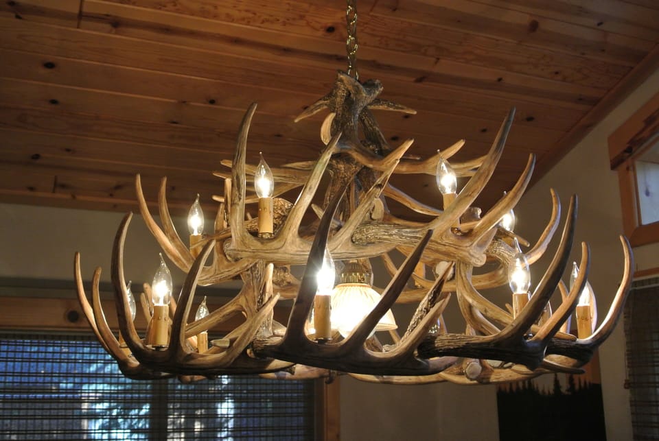 Deer Antler Chandelier over Dining Room Table