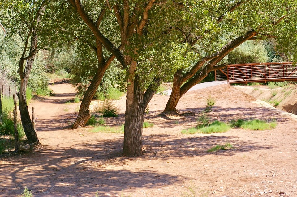 Beautiful Millcreek Parkway behind house! Walk or bike to Main Street and beyond