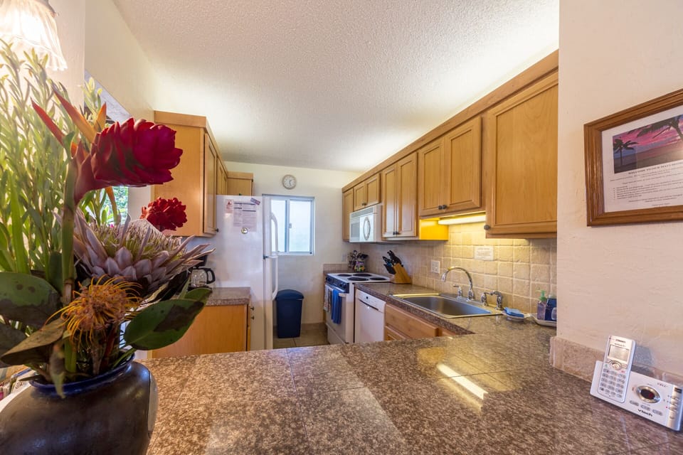 Fully equipped kitchen, with dish and laundry soap also provided.