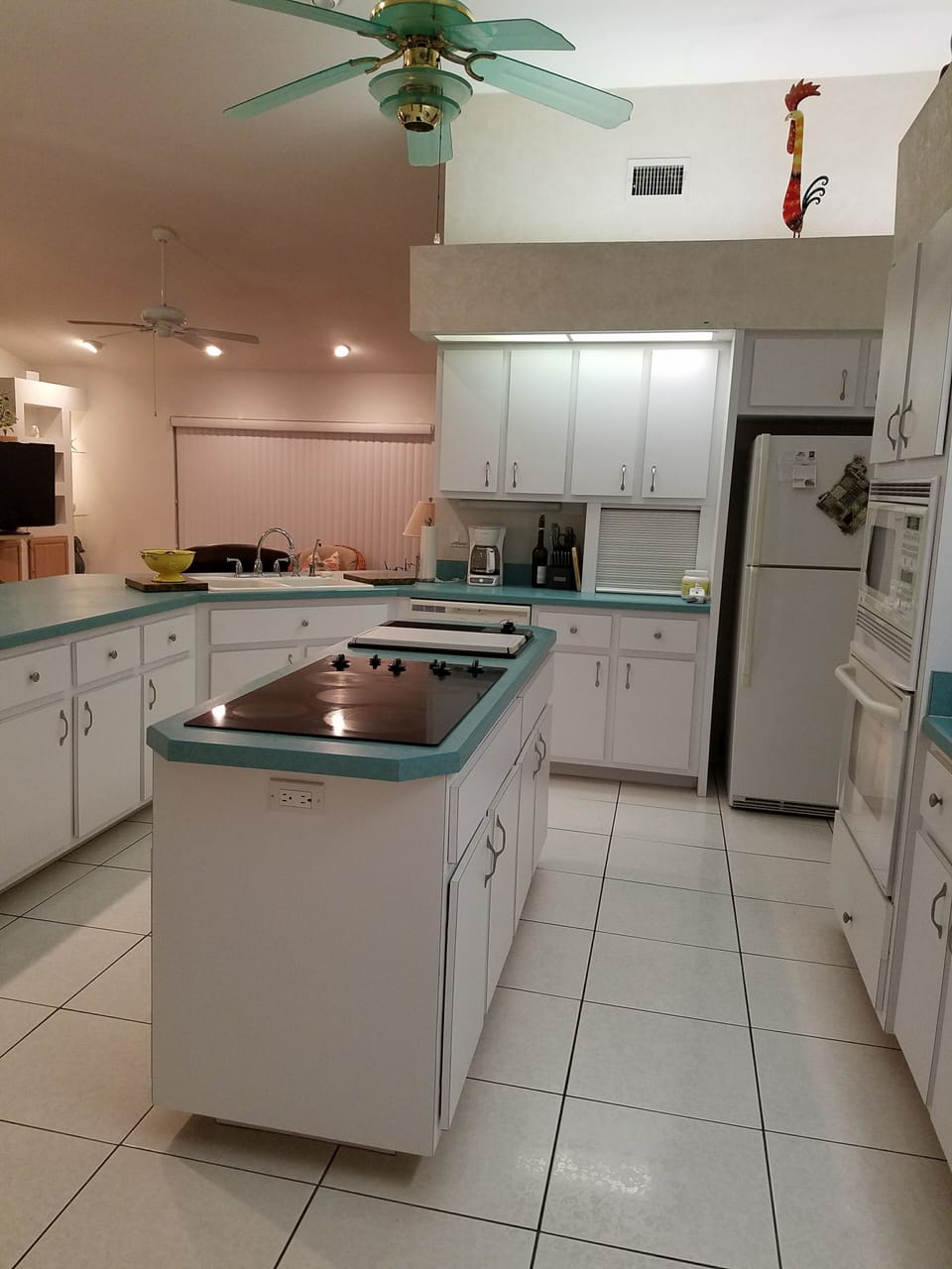Cooking Island with electric cook top and downdraft fan.