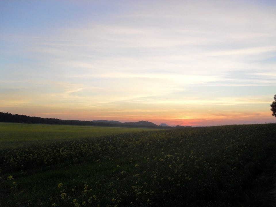 Region [summer] (>5 km)