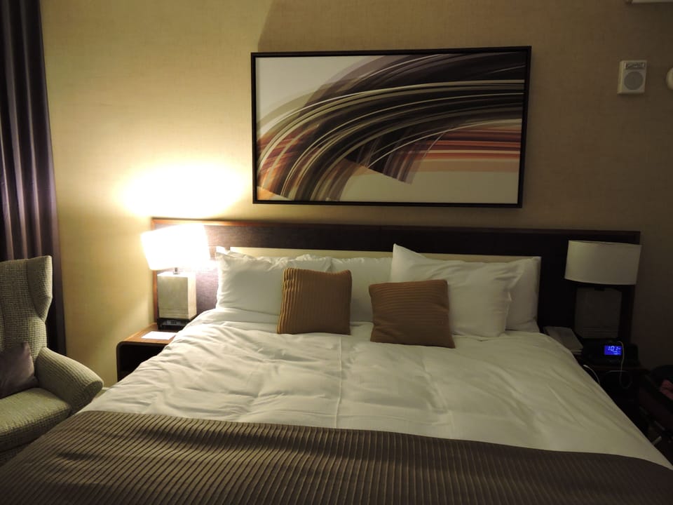 Studio Plus King Bed