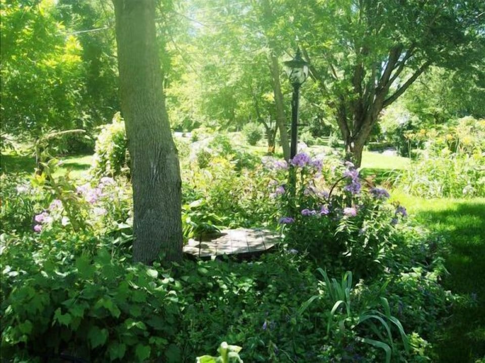 Minnetonka Charmer garden yard
