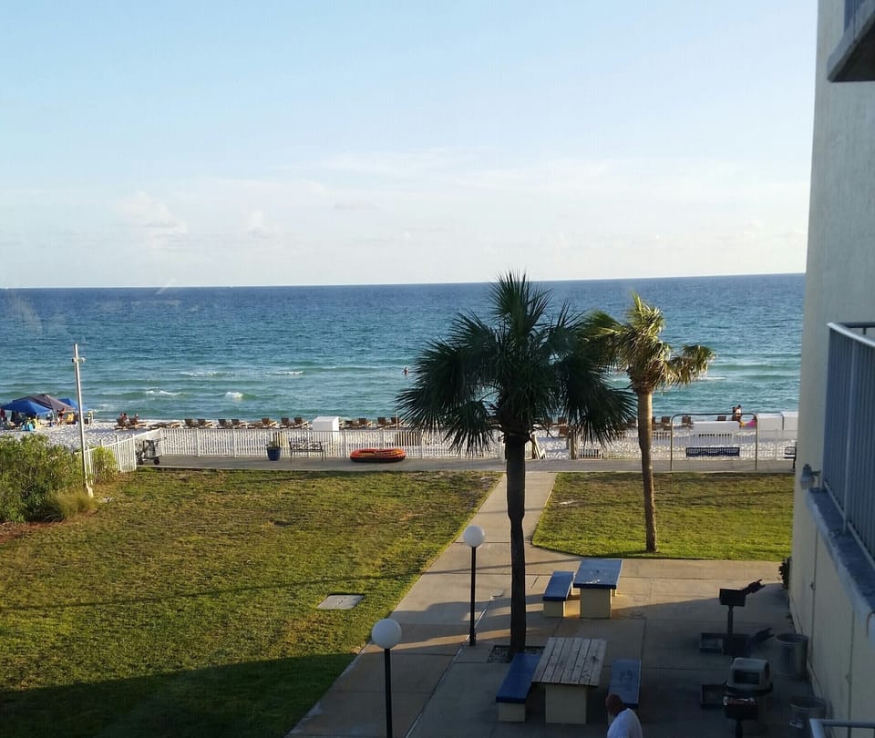 View from my Balcony